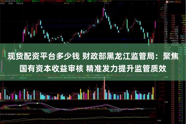 现货配资平台多少钱 财政部黑龙江监管局：聚焦国有资本收益审核 精准发力提升监管质效